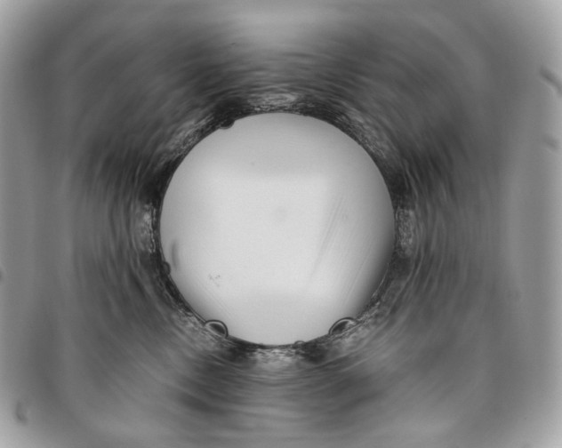 X0000096160378200802081439