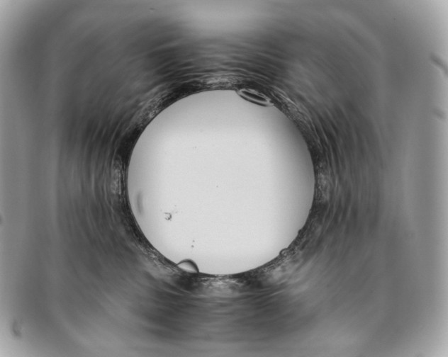 X0000096160379200802081439