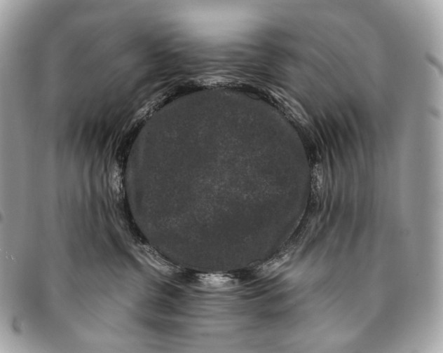 X0000096160380200802081439