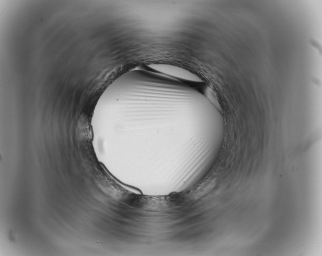 X0000096160384200802081439