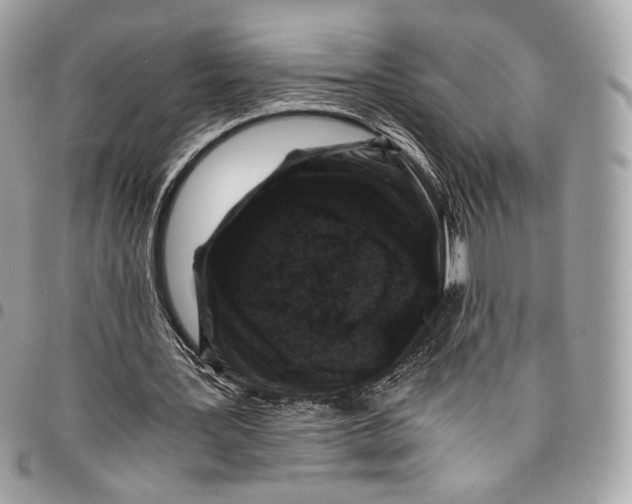 X0000096160387200802081439