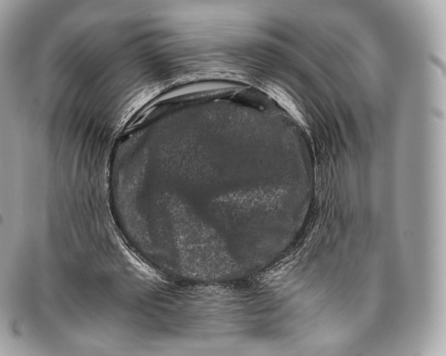 X0000096160389200802081439