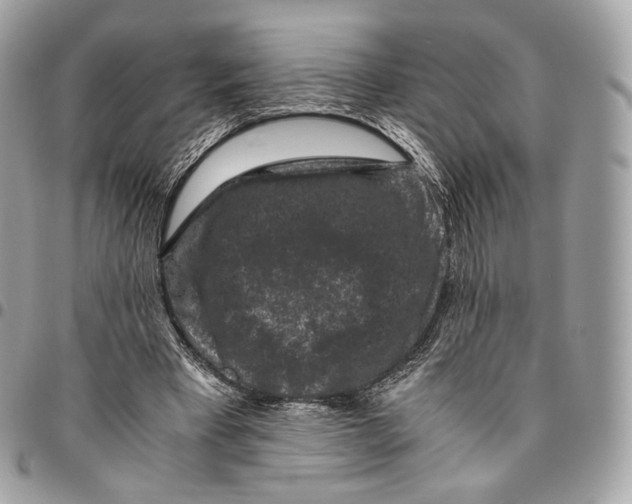 X0000096160393200802081439