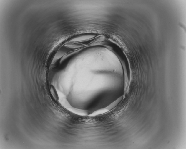 X0000096160395200802081439