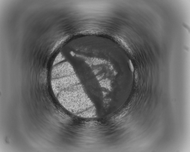 X0000096160396200802081439