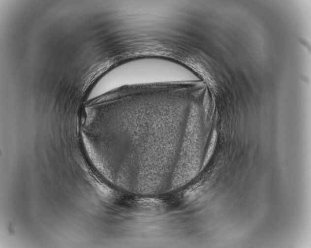 X0000096160397200802081439