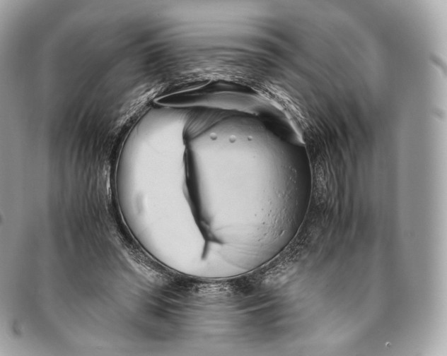 X0000096160398200802081439