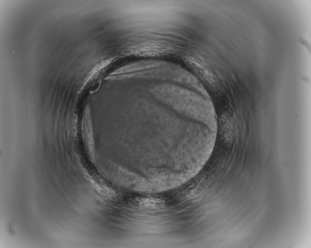 X0000096160400200802081439