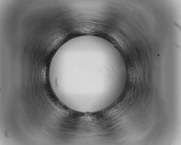 X0000096160404200802081439