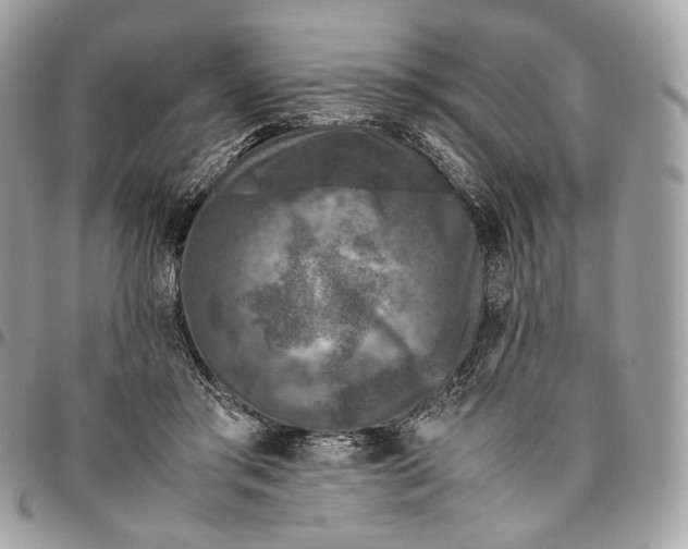 X0000096160405200802081438