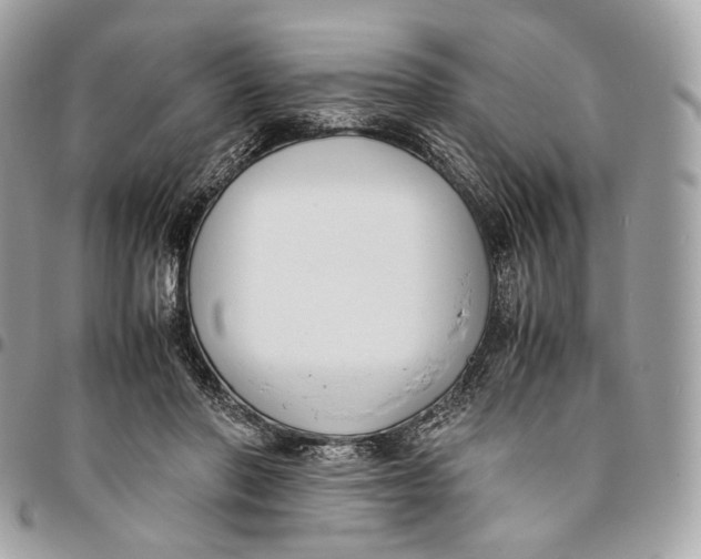 X0000096160406200802081438