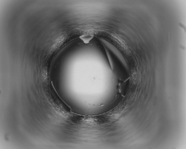 X0000096160407200802081438