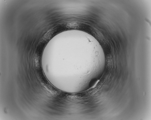 X0000096160408200802081438