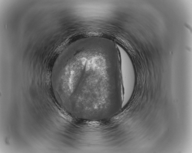 X0000096160409200802081438