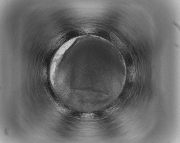 X0000096160410200802081438