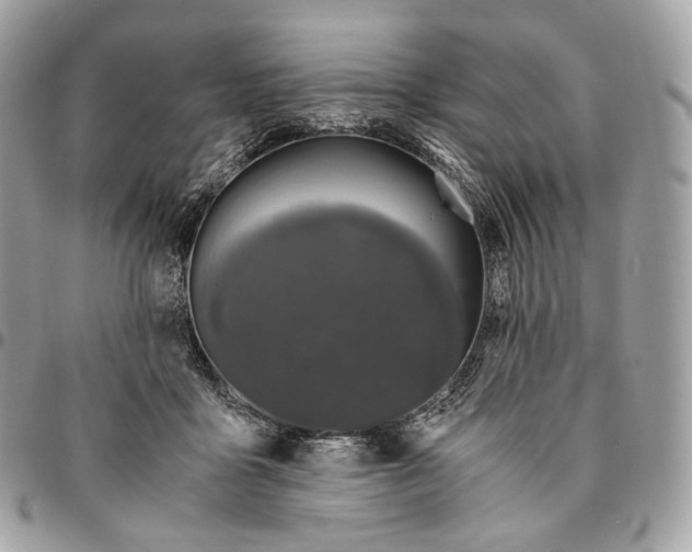 X0000096160411200802081438