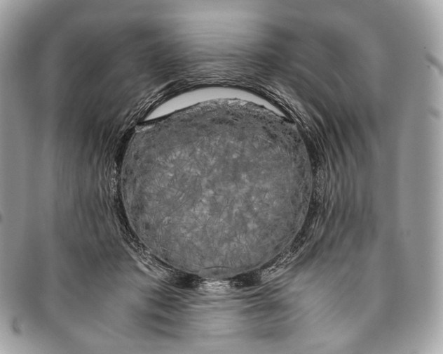 X0000096160413200802081438