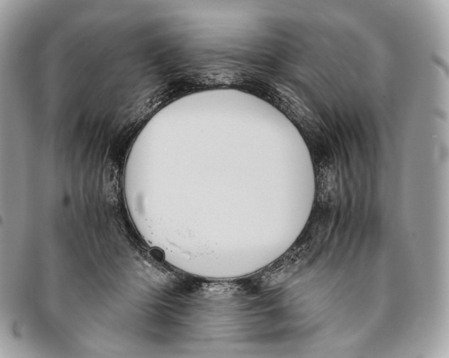 X0000096160414200802081438