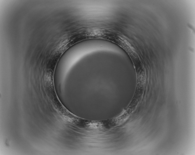 X0000096160415200802081438