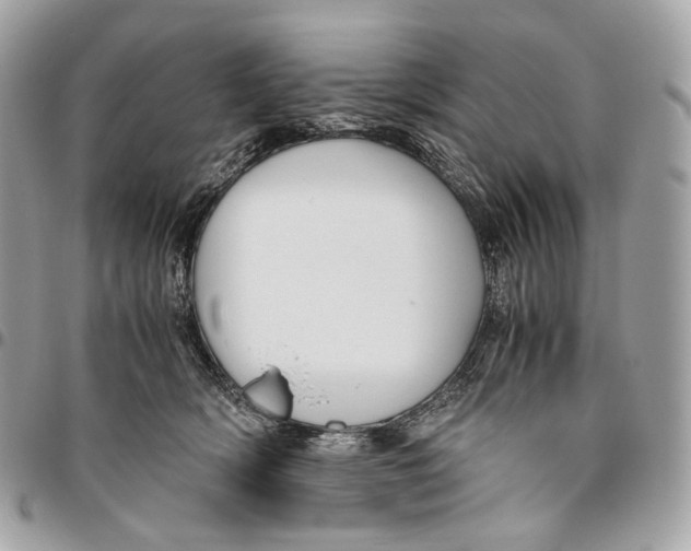 X0000096160418200802081438