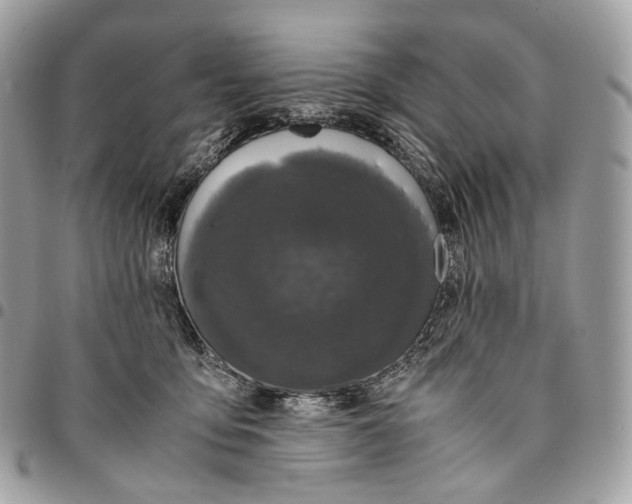 X0000096160419200802081438