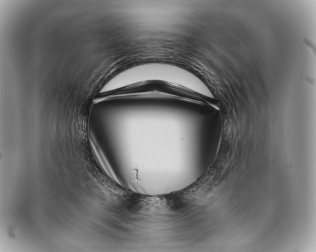 X0000096160421200802081438