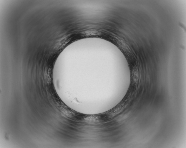 X0000096160422200802081438