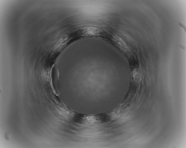 X0000096160423200802081438