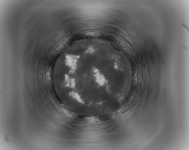 X0000096160424200802081438