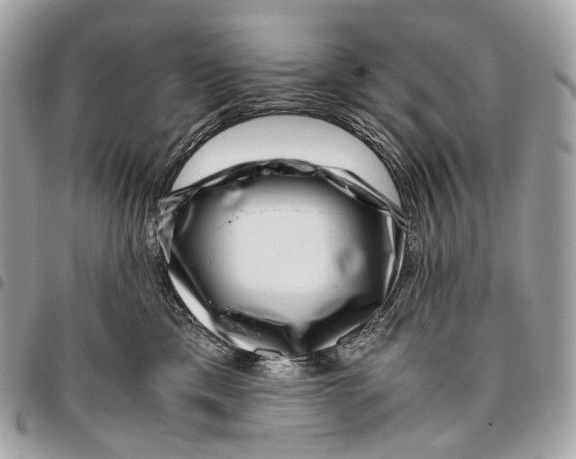 X0000096160425200802081438