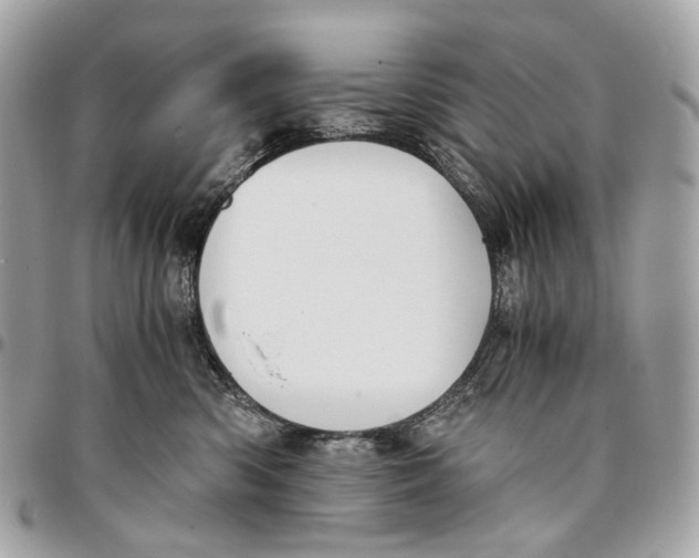 X0000096160426200802081438