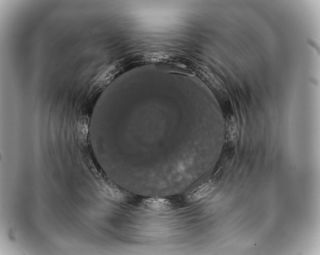 X0000096160427200802081438