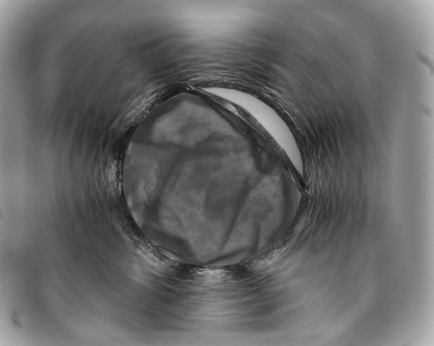 X0000096160428200802081438