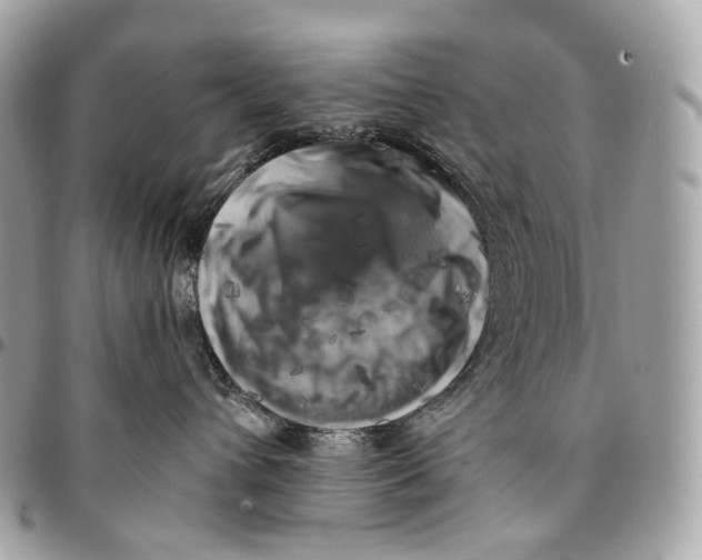 X0000096160432200802081438