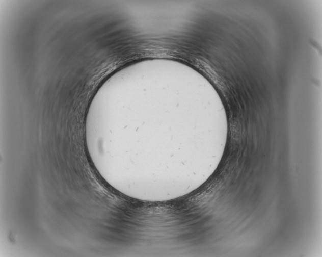 X0000096160433200802081437