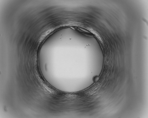 X0000096160437200802081438