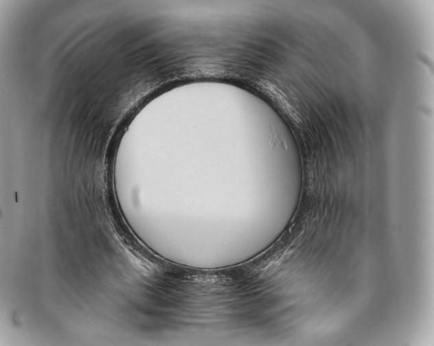 X0000096160439200802081438