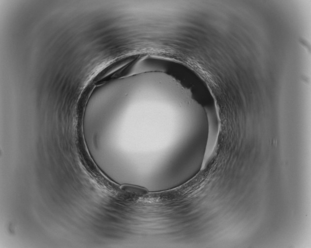 X0000096160440200802081438