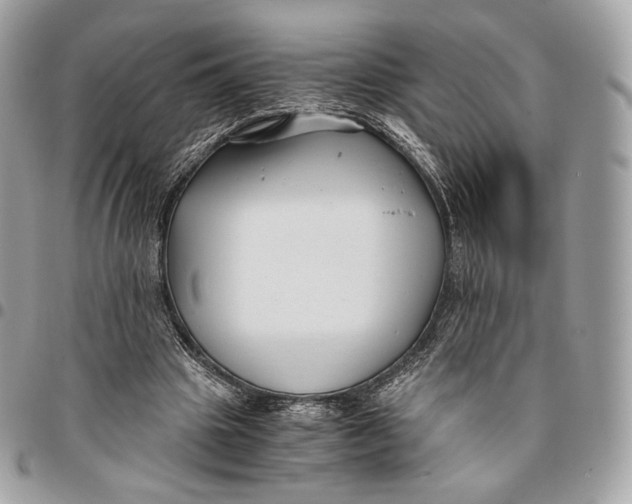 X0000096160441200802081438