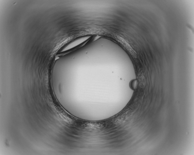 X0000096160442200802081438