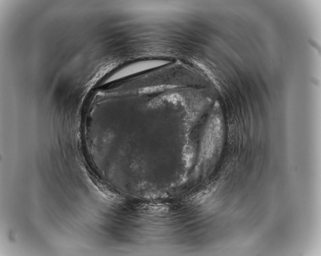 X0000096160443200802081438