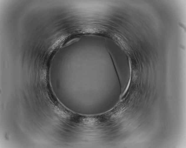 X0000096160444200802081438