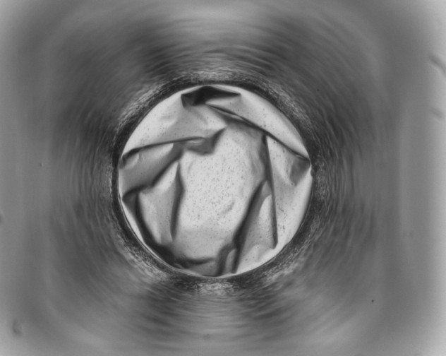 X0000096160446200802081438