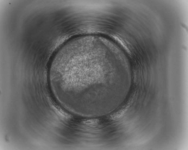 X0000096160447200802081438