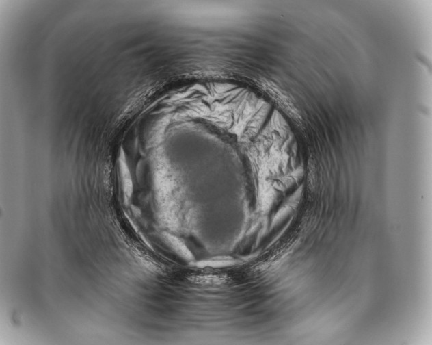 X0000096160449200802081438