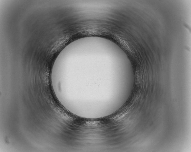 X0000096160450200802081438