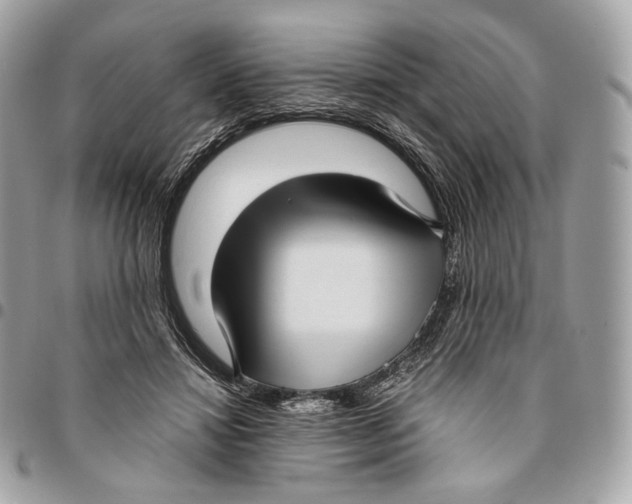 X0000096160452200802081438