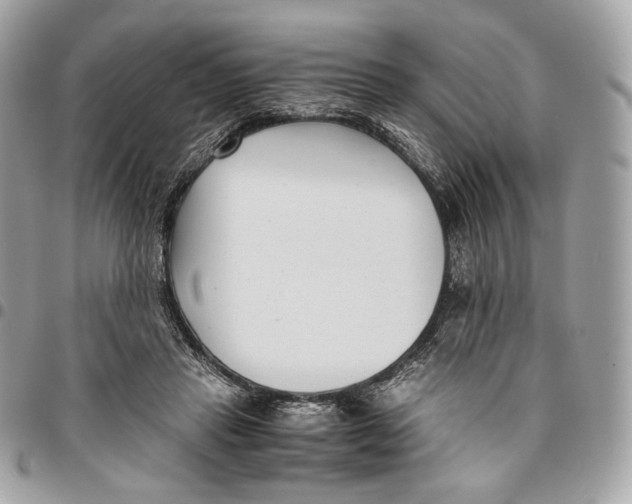 X0000096160453200802081438