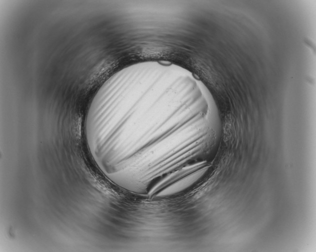 X0000096160454200802081438