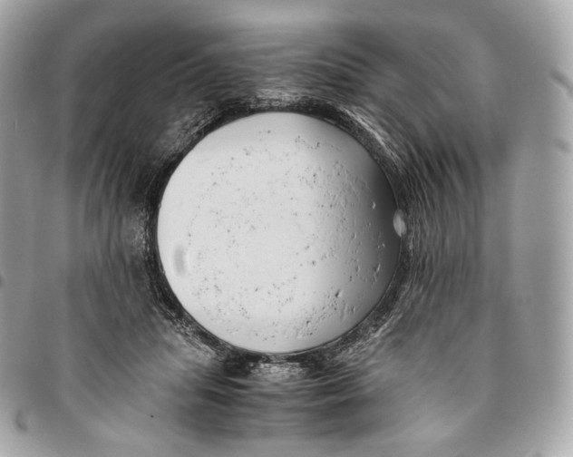 X0000096160455200802081438